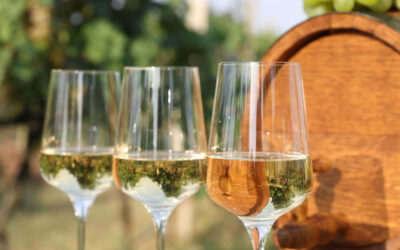 Découvrez les appellations incontournables des vins blancs de Loire
